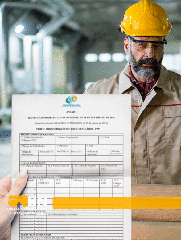 bn-perfil previdenciario